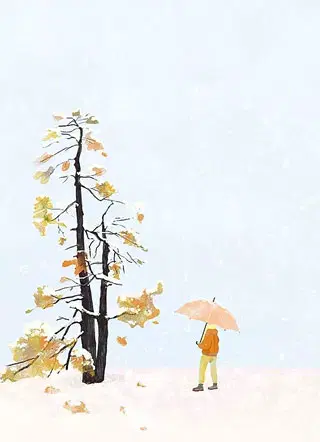 陈青源董问君